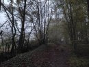 Lisière, les Vavres